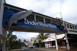 underwater world